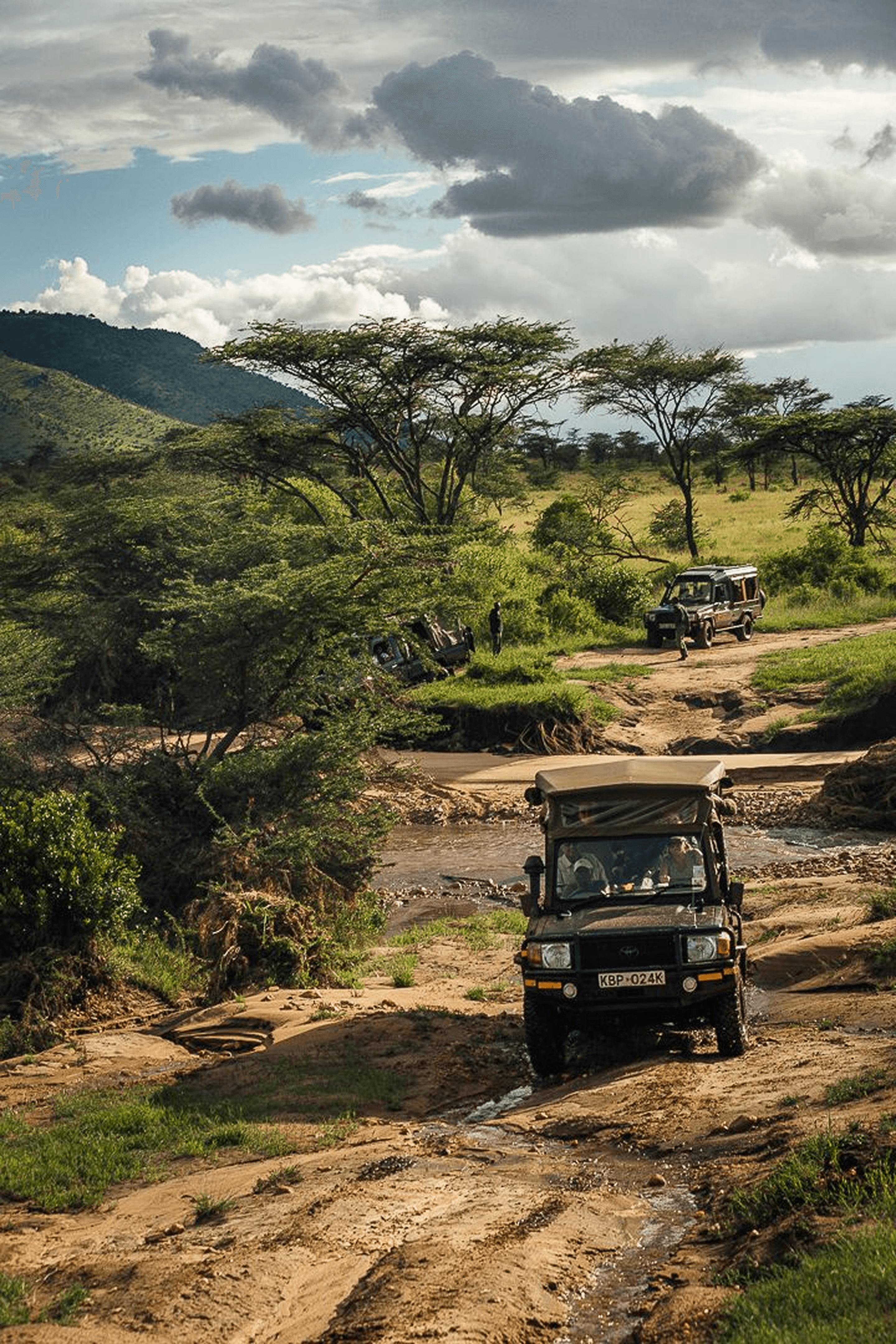 Safari Kenya